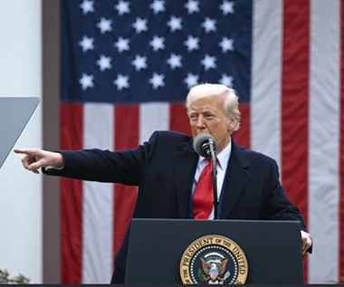 Tyle przeciętny konsument zapłaci za cła Trumpa. Więcej m.in. za żywność i pampersy