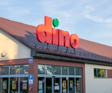 Tyle sklepów ma Dino. 3 razy więcej niż Lidl i 1000 mniej niż Biedronka