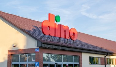 Tyle sklepów ma Dino. 3 razy więcej niż Lidl i 1000 mniej niż Biedronka