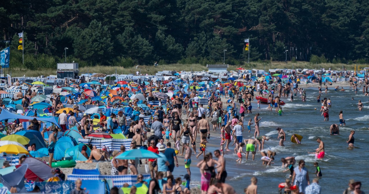 Tyle zapłacimy za gofry i lody nad polskim morzem. "Szok cenowy" /STEFAN SAUER / DPA / dpa Picture-Alliance via AFP /AFP