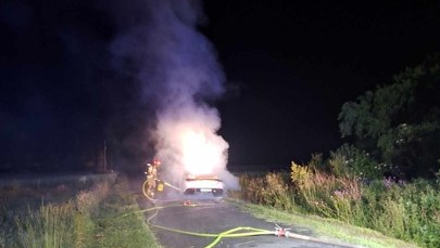 Tyle zostało z "elektryka". Pojazd gasiły aż trzy zastępy. ZDJĘCIA