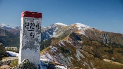 Tylko 1 proc. Polski pod ochroną! Ekspertka zdradza, co blokuje nowe parki narodowe