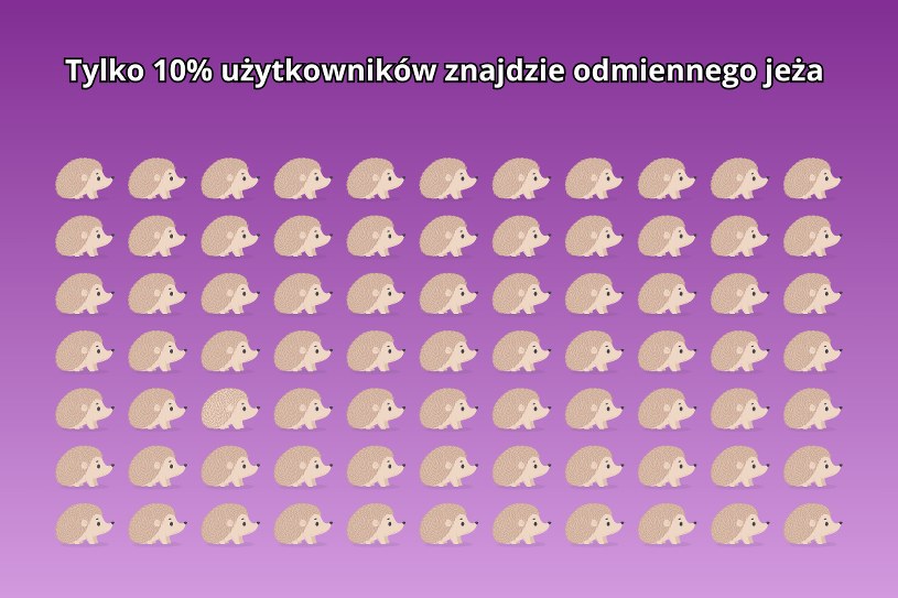 Tylko 10% osób potrafi znaleźć różnicę na obrazku. Zagadka dla bardzo spostrzegawczych osób