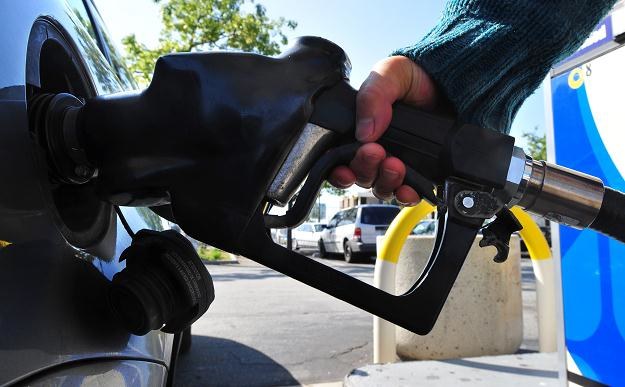 Tylko 26 procent Amerykanów popiera politykę prezydenta Obamy w sprawie cen benzyny /AFP