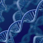 Tylko 8 proc. genomu jest nam naprawdę potrzebne?