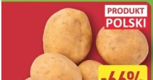 Tylko do 15.11 w Aldi ziemniaki kupisz aż 66% taniej /Aldi /INTERIA.PL