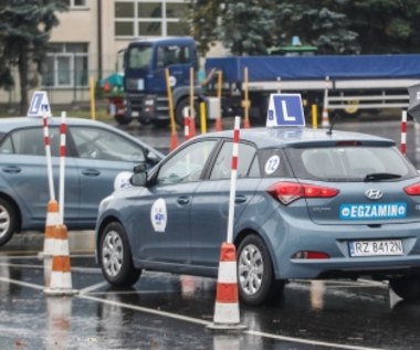 Tylko jeden na trzech kierowców zdaje "jazdę"! Jak było u ciebie?