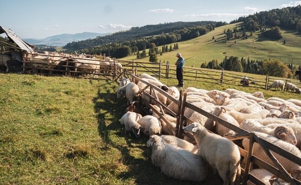 Tylko nieliczni widzieli ten świat! Zajrzyj do bacówki, gdzie czas się zatrzymał 