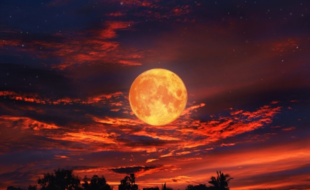 Tylko raz na 18 lat. Zjawisko, które zachwyci Polaków