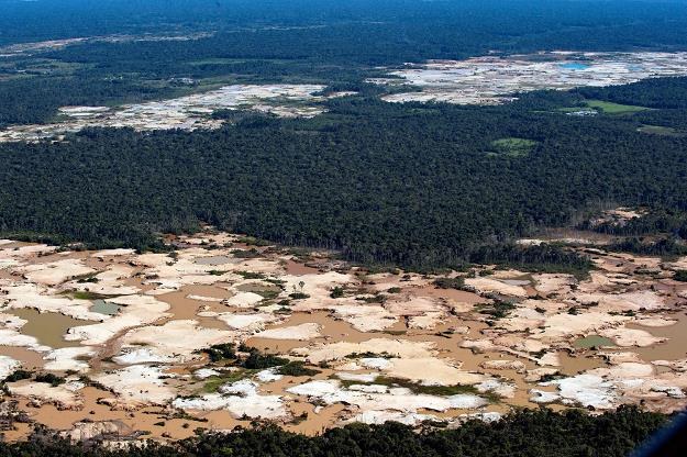 Tylko w lipcu br. zniknęły połacie Puszczy Amazońskiej wielkości 2 254 km2 /AFP