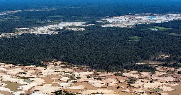 Tylko w lipcu br. zniknęły połacie Puszczy Amazońskiej wielkości 2 254 km2 /AFP