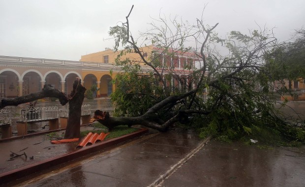 Tylko w RMF FM: Polacy czekają na ewakuację przed huraganem Jose. "Módlcie się za nas" 