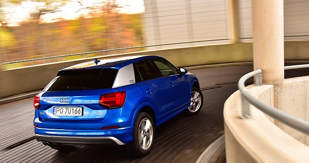 Tylny słupek dachowy Audi Q2 występuje w 6 różnych barwach. /Motor