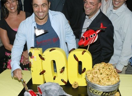 Tym apetycznym tortem producenci Fear Factor świętowali 100 odcinek. /Getty Images/Flash Press Media