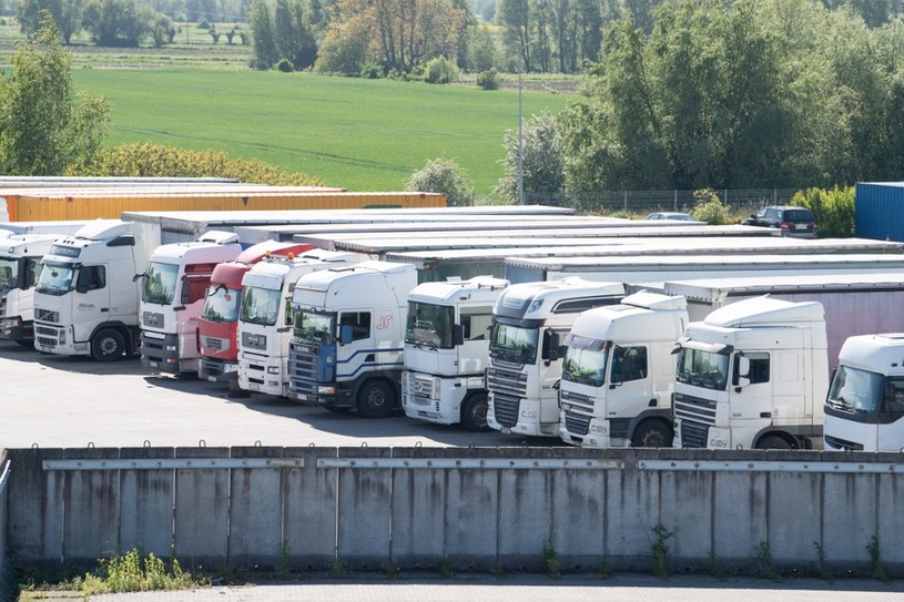 Tym razem ciężarówki nie będą stać na parkingach /Wojciech Stróżyk /Reporter