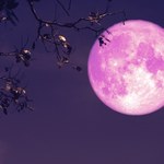 Tym znakom zodiaku sprzyja Truskawkowy Księżyc. W czerwcu będą miały masę szczęścia 
