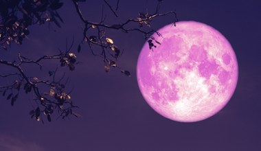 Tym znakom zodiaku sprzyja Truskawkowy Księżyc. W czerwcu będą miały masę szczęścia 