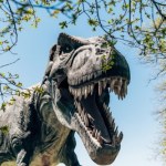 T.Rex Tyranozaur rósł aż do czterdziestki. Nowe badania zaskakują