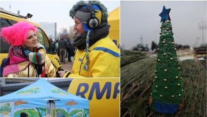 Tysiąc choinek trafiło do gdynian! Choinkowy konwój jedzie dalej