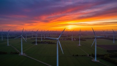 Tysiąca miejsc pracy nie będzie. Duńska firma nie zbuduje fabryki pod Szczecinem