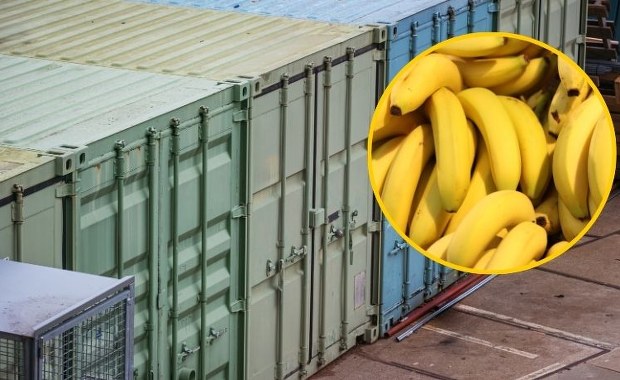 Tysiące bananów pojawiło się na plaży. Kontenery z owocami wypadły za burtę