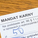 Tysiące bloczków mandatowych do zmielenia. Rząd interweniuje 