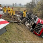 Tysiące kurczaków w ciężarówce. Dramatyczny wypadek