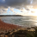 Tysiące ludzi nago na plaży w Sydney. Co tam się działo?
