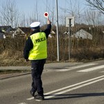 Tysiące mandatów bezpodstawnych? Chodzi o pieszych wchodzących na przejście