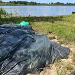 Tysiące martwych ryb w foliowych workach na plaży w Lubelskiem