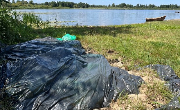 Tysiące martwych ryb w foliowych workach na plaży w Lubelskiem