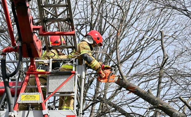 Tysiące osób wciąż bez prądu po wichurze na północy kraju