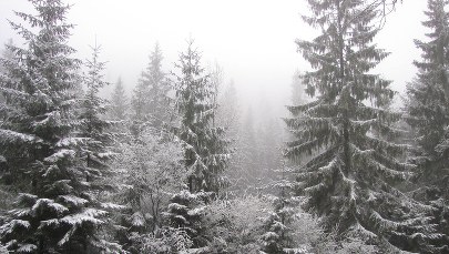 Tysiące turystów w górach. Doszło do wielu wypadków