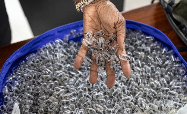 Tysiące żywych mrówek w walizce. Kolekcjonerzy płacą za nie fortunę 