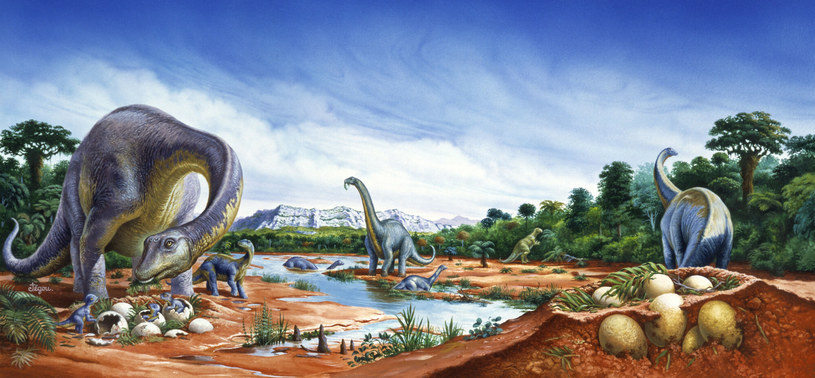 Tytanozaury były ostatnią liczną grupą zauropodów przed kredowym wymieraniem i ostatnimi wielkimi roślinożercami swoich czasów. /East News