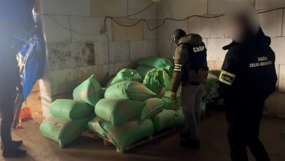 Tytoniowy przekręt na gigantyczną skalę. Służby rozbiły grupę przestępczą  