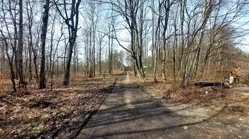 Tzw. ścieżka zdrowia prowadząca przez pobliski las /Dawid Serafin /INTERIA.PL