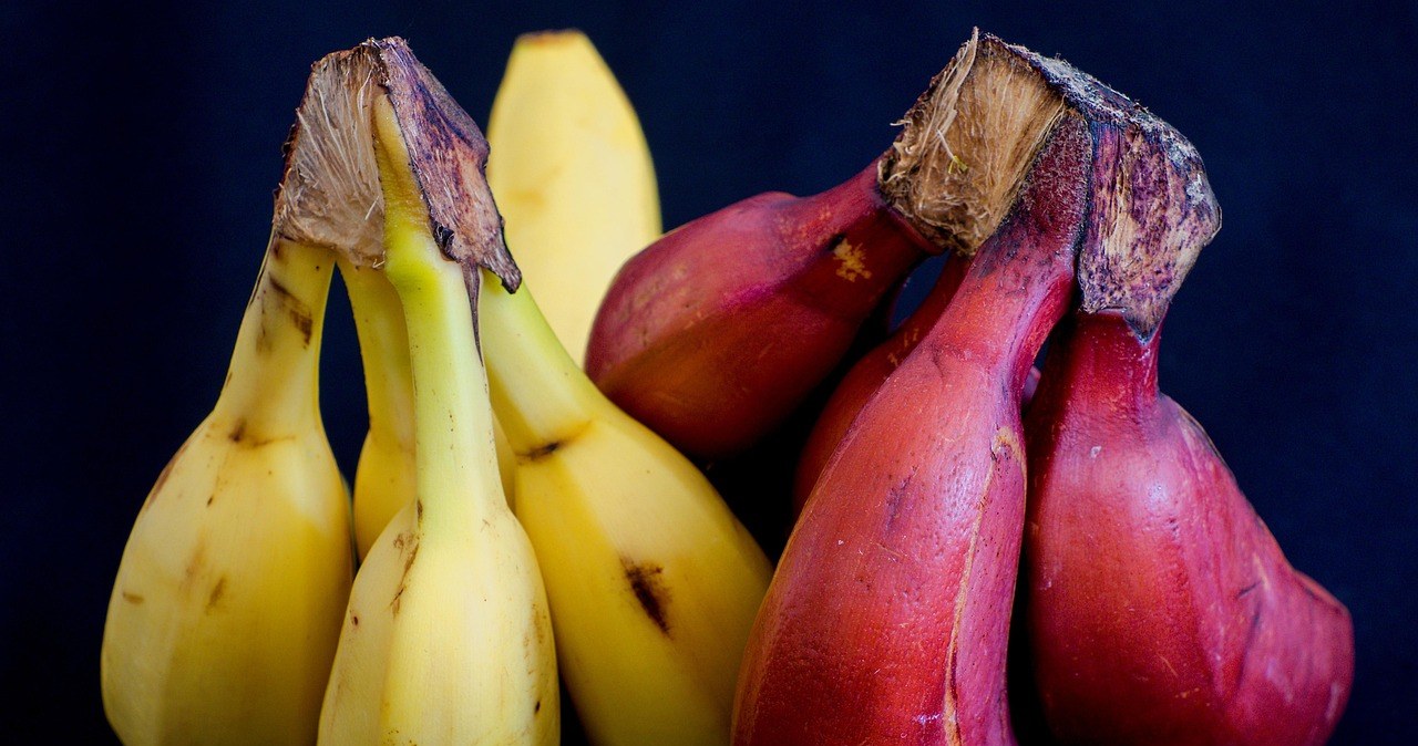 У червоних бананів нижчий глікемічний індекс, ніж у звичних жовтих, що означає більш м’який вплив на рівень цукру в крові /pixabay.com