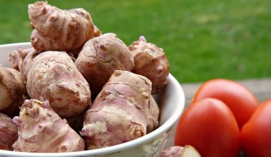 У квашеному вигляді має винятковий смак. Знижує рівень цукру і холестерину та покращує роботу кишківника