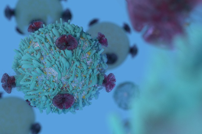 U osób chorych na COVID-19 limfocyty T nie działają prawidłowo /123RF/PICSEL