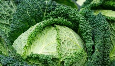 У овочевих крамницях її вдосталь, а ми досі не цінуємо. Найкраща для здорових кісток та сяючої шкіри