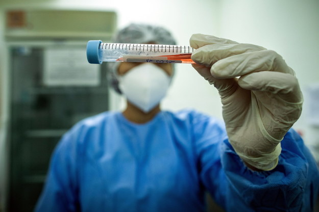 Wykryto nowy, rekordowo zmutowany wariant koronawirusa. Zakażeni: podróżni z Tanzanii