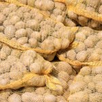 U rolników zalega 1 mln ton ziemniaków. Markety importują z zagranicy na potęgę