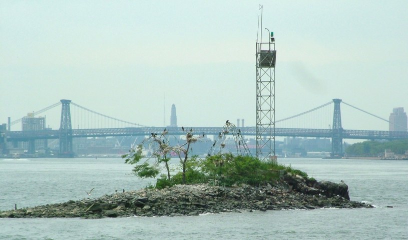 U Thant Island, oficjalnie znana jako Belmont Island /Wikipedia /materiały prasowe