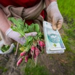 Ubezpieczenie miał 42 lata. KRUS wypłaca mu najwyższą emeryturę