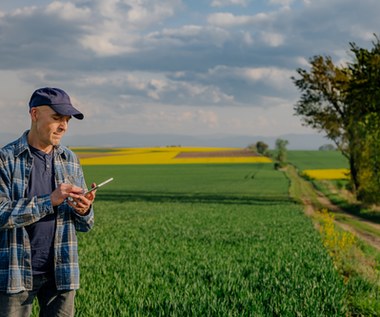 Ubezpieczenie rolne: Ile rząd dopłaci do składek?