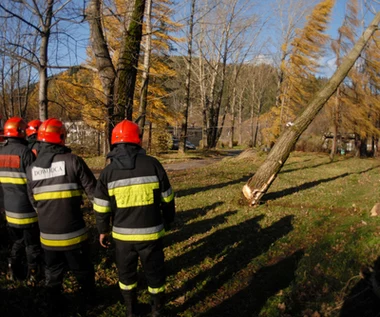 Ubezpieczyciele odnotowują potężny wzrost liczby szkód katastroficznych