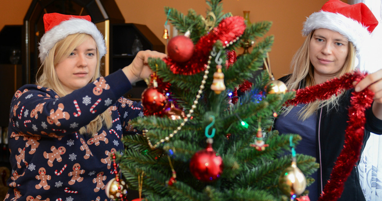 Ubieranie choinki to jedna z najprzyjemniejszych świątecznych czynności /    Adam STASKIEWICZ /East News