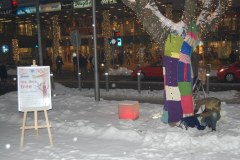 Ubierz drzewo na zimę i pomóż najuboższym