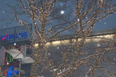 Ubierz drzewo na zimę i pomóż najuboższym